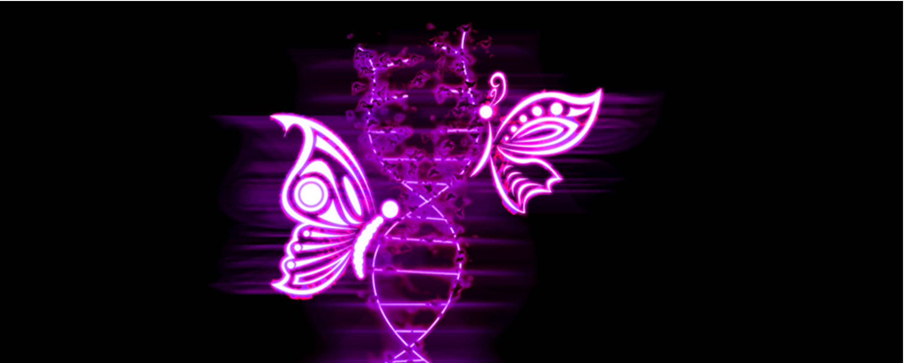 9eaecf62436d4f8fbd0216a601d4b9f8_th.png