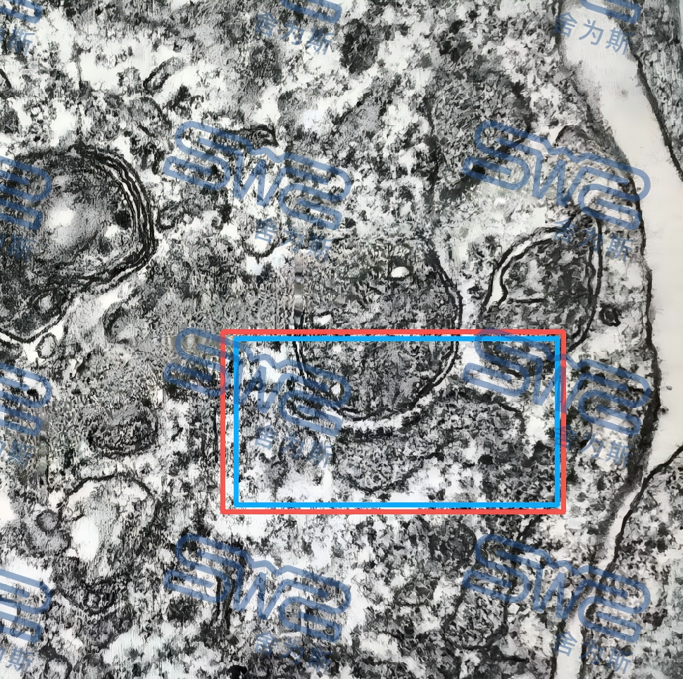 微信图片_20260820171136_2209_59(1).png