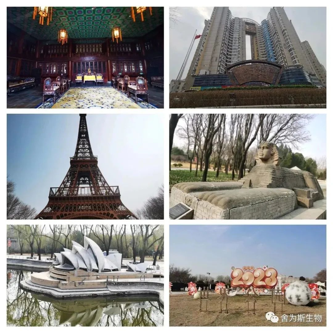 图片 图片