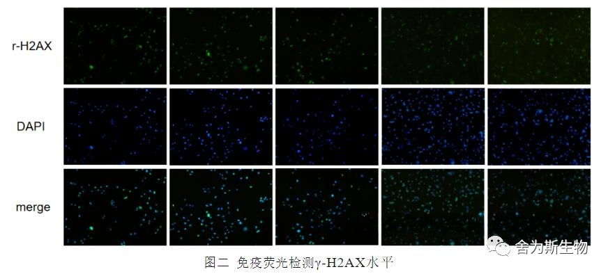 1690958525729775.png 图片3.png